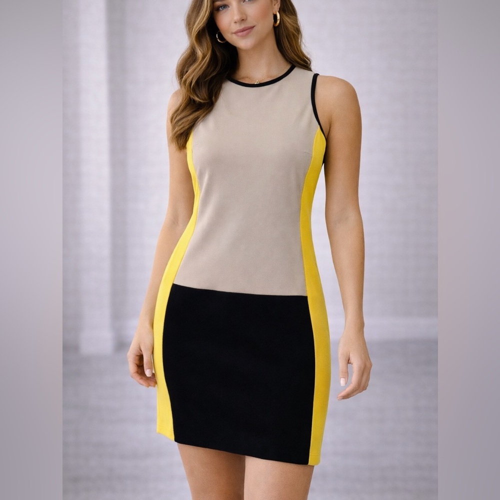 Ann Taylor color-block sleeveless dress ❤️